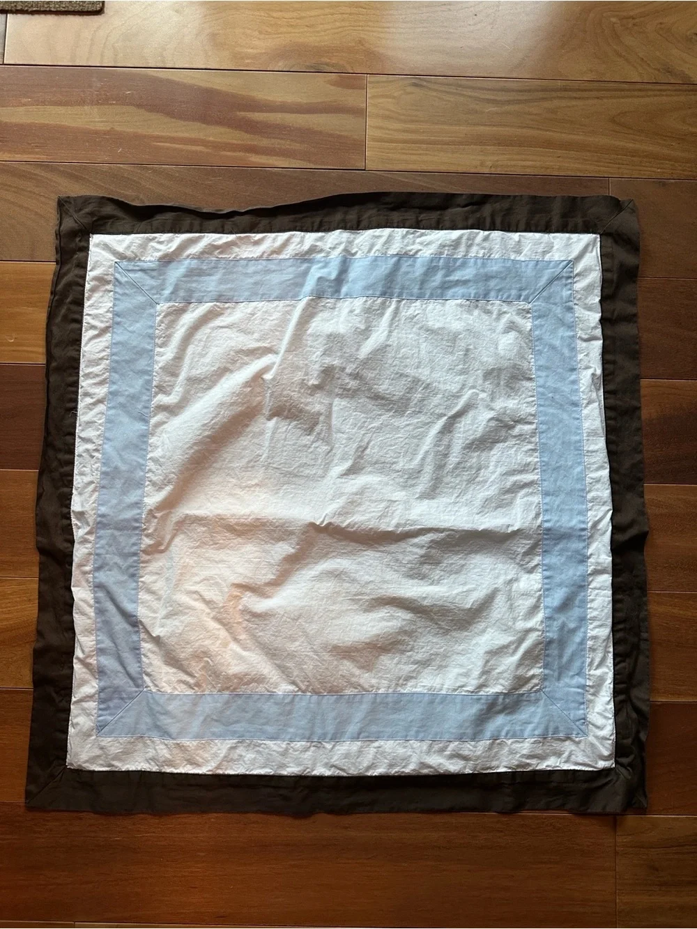 Restoration Hardware RH Euro Sham with Blue and Brown Border